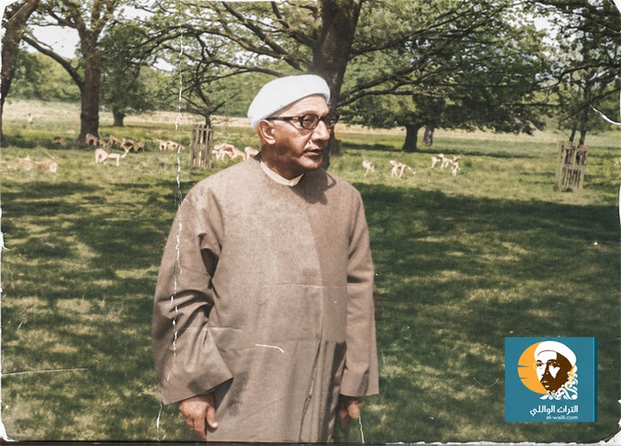 الشيخ احمد الوائلي
